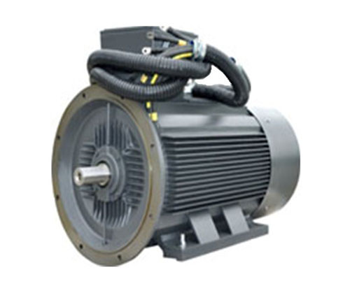 YYZ系列壓縮機(jī)專用小機(jī)座大功率三相異步電動(dòng)機(jī)(機(jī)座號(hào)H100—H355)